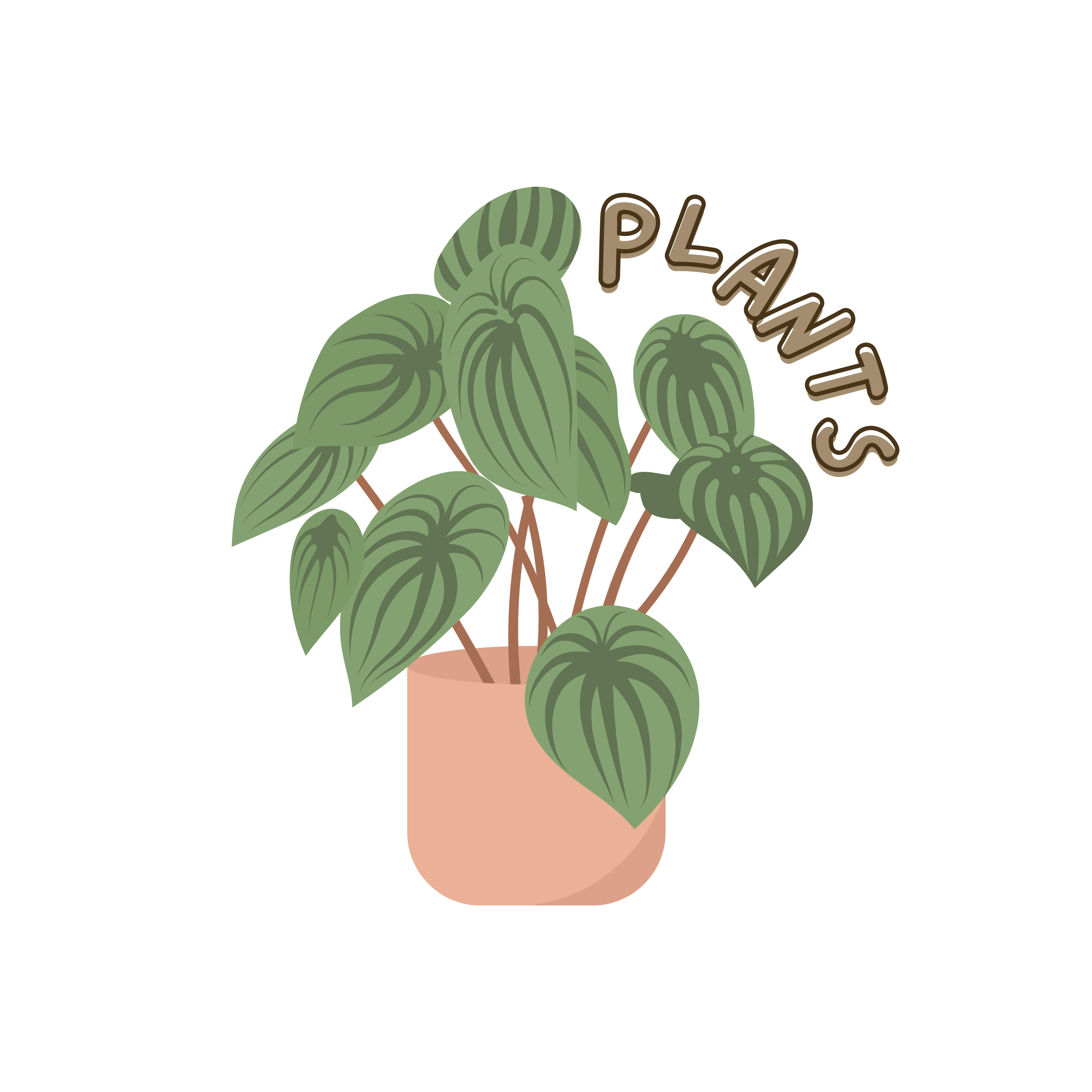 Plants