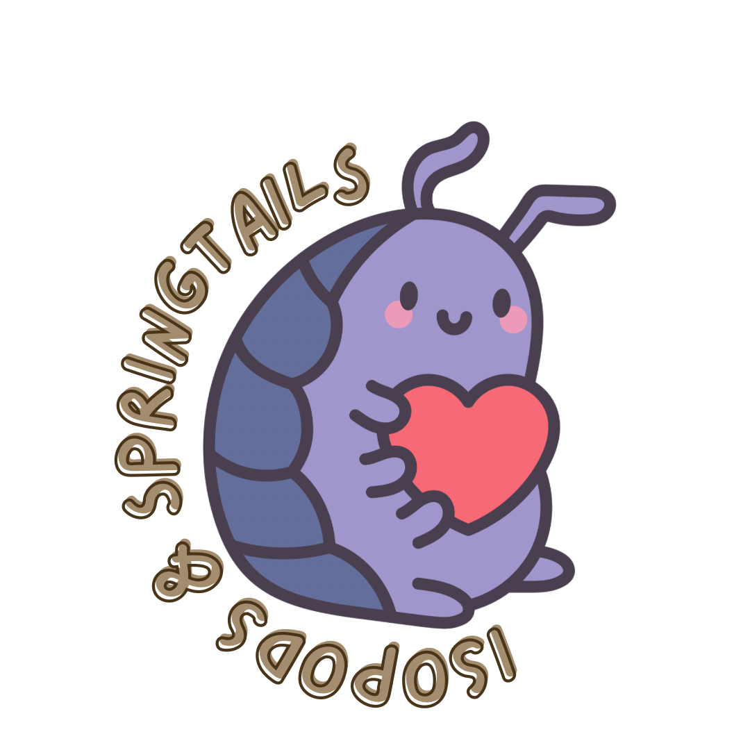 Isopods & Springtails