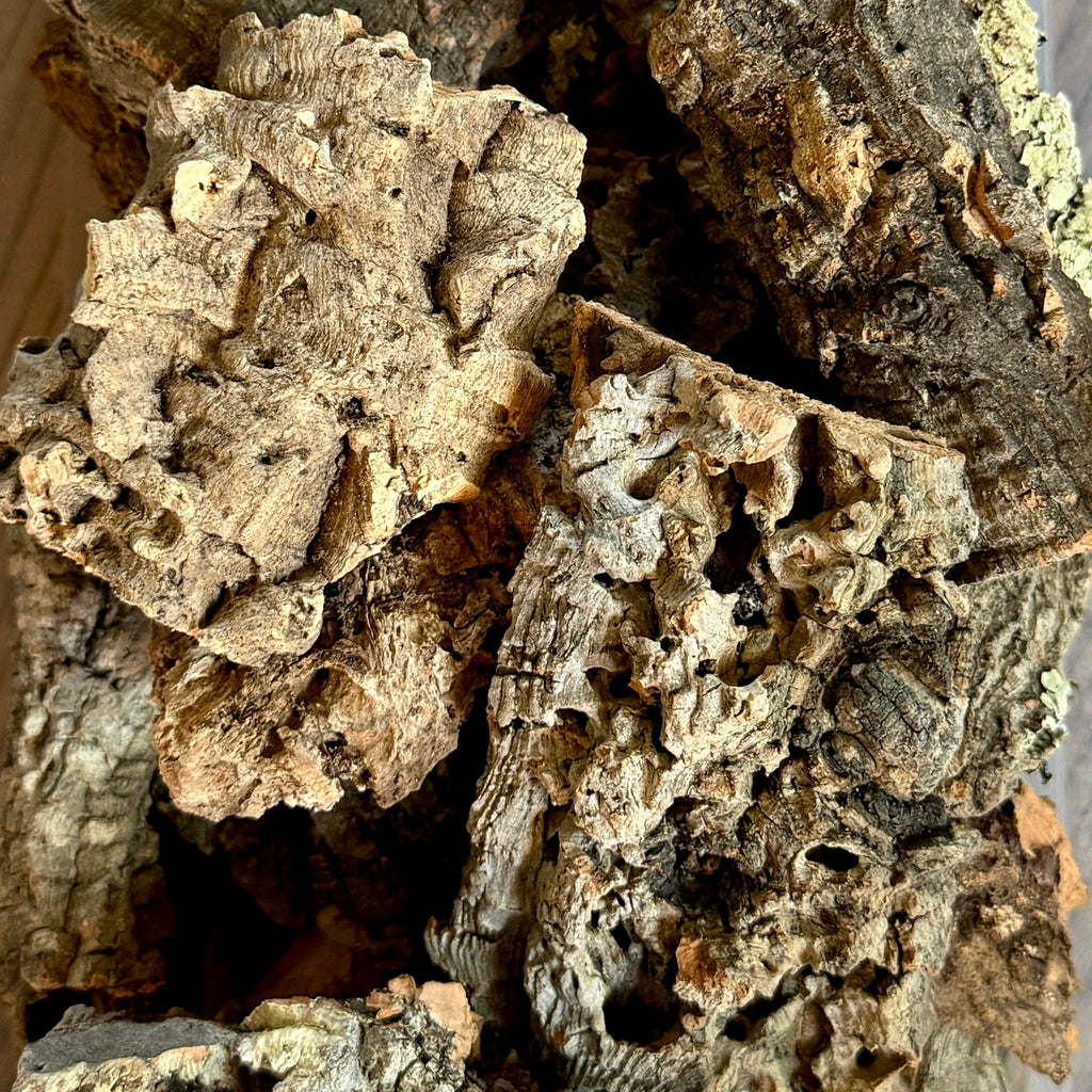 Cork Bark Flat