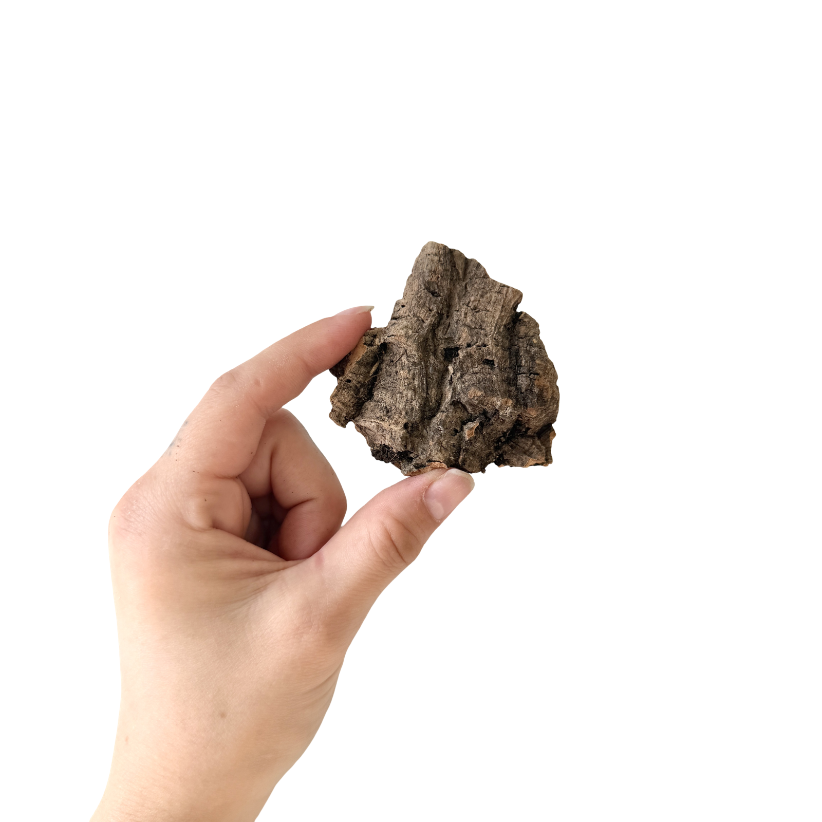 Cork Bark Flat