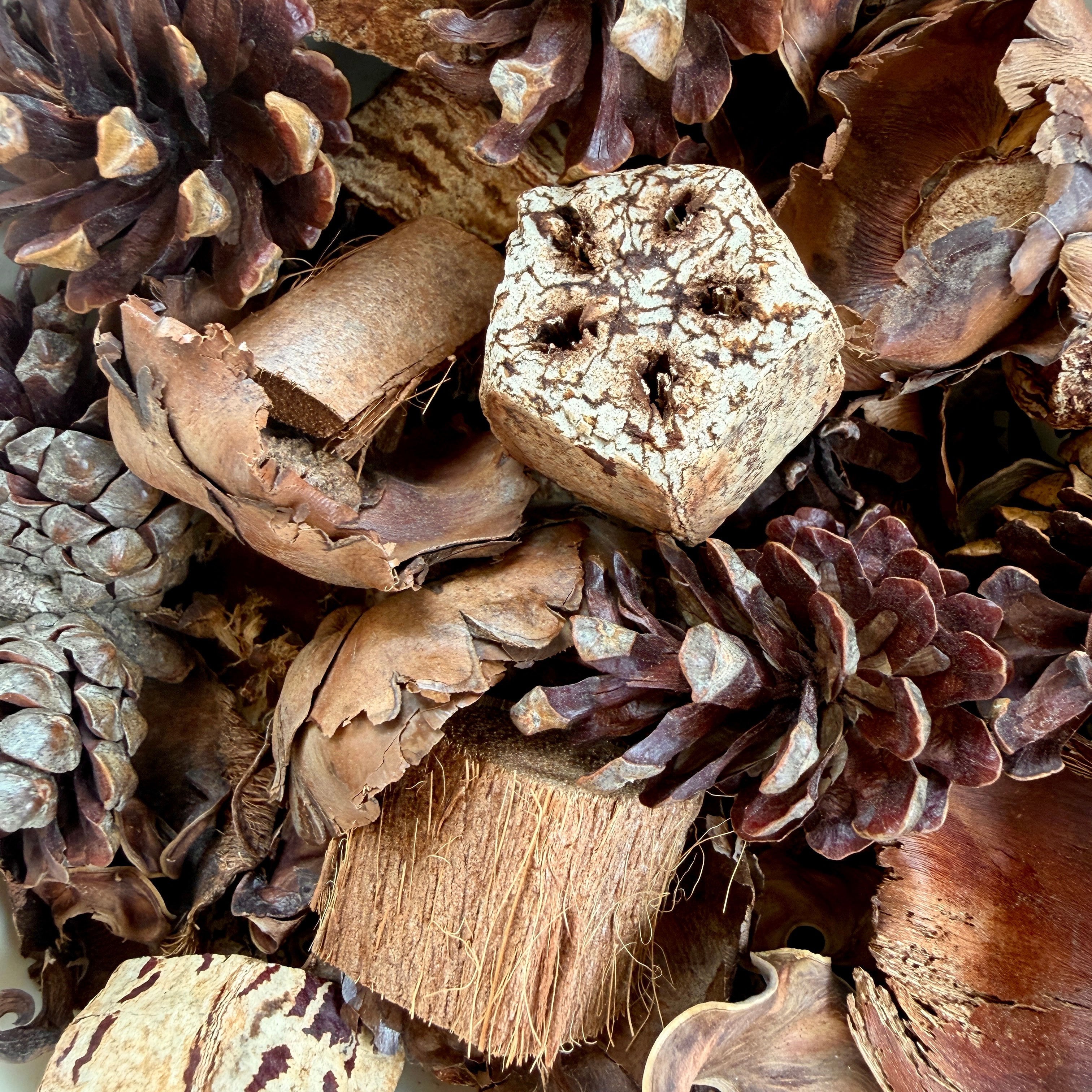 Forest Floor Cover