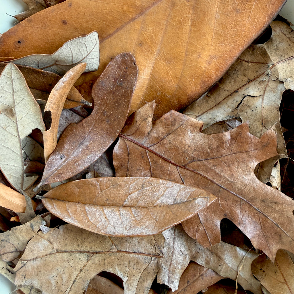 Bioactive Leaf Litter Mix