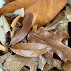 Bioactive Leaf Litter Mix