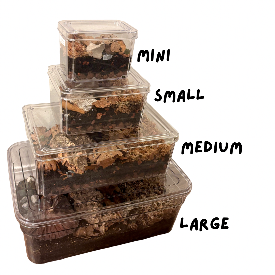 Isopod Enclosure Kit