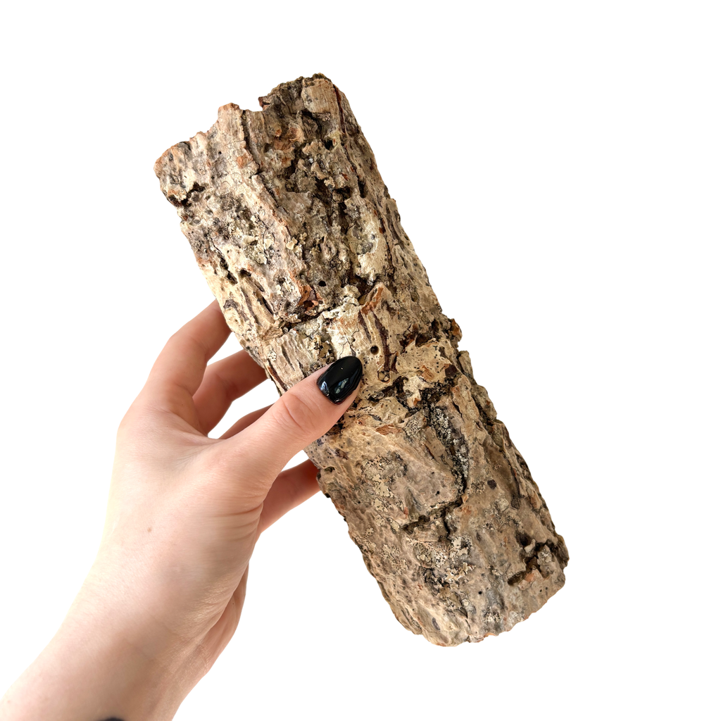 Cork Bark Tunnel