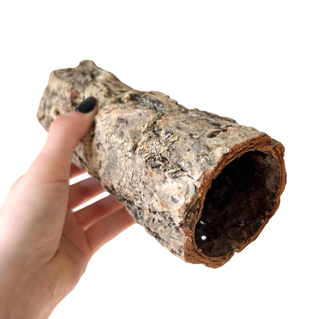 Cork Bark Tunnel