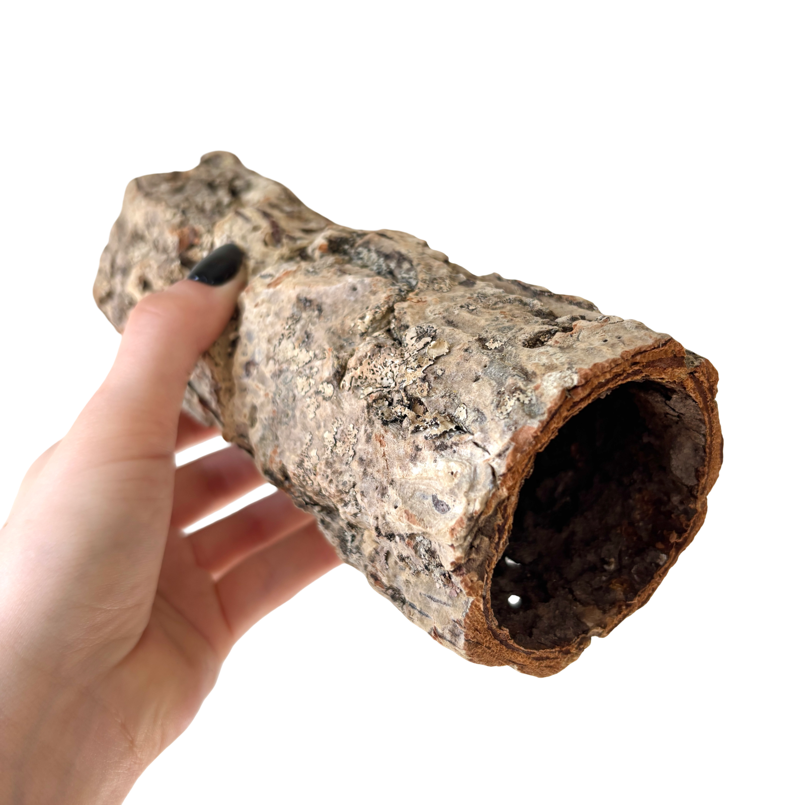 Cork Bark Tunnel