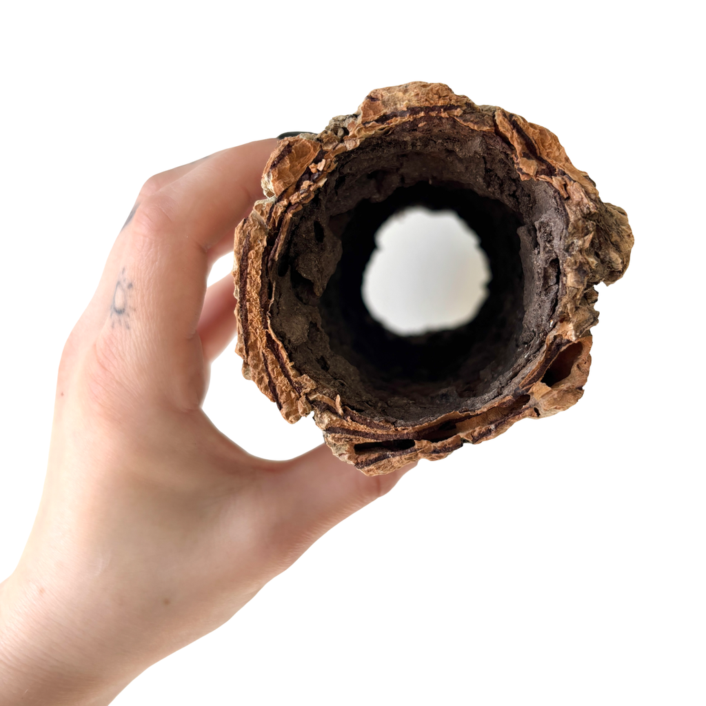 Cork Bark Tunnel