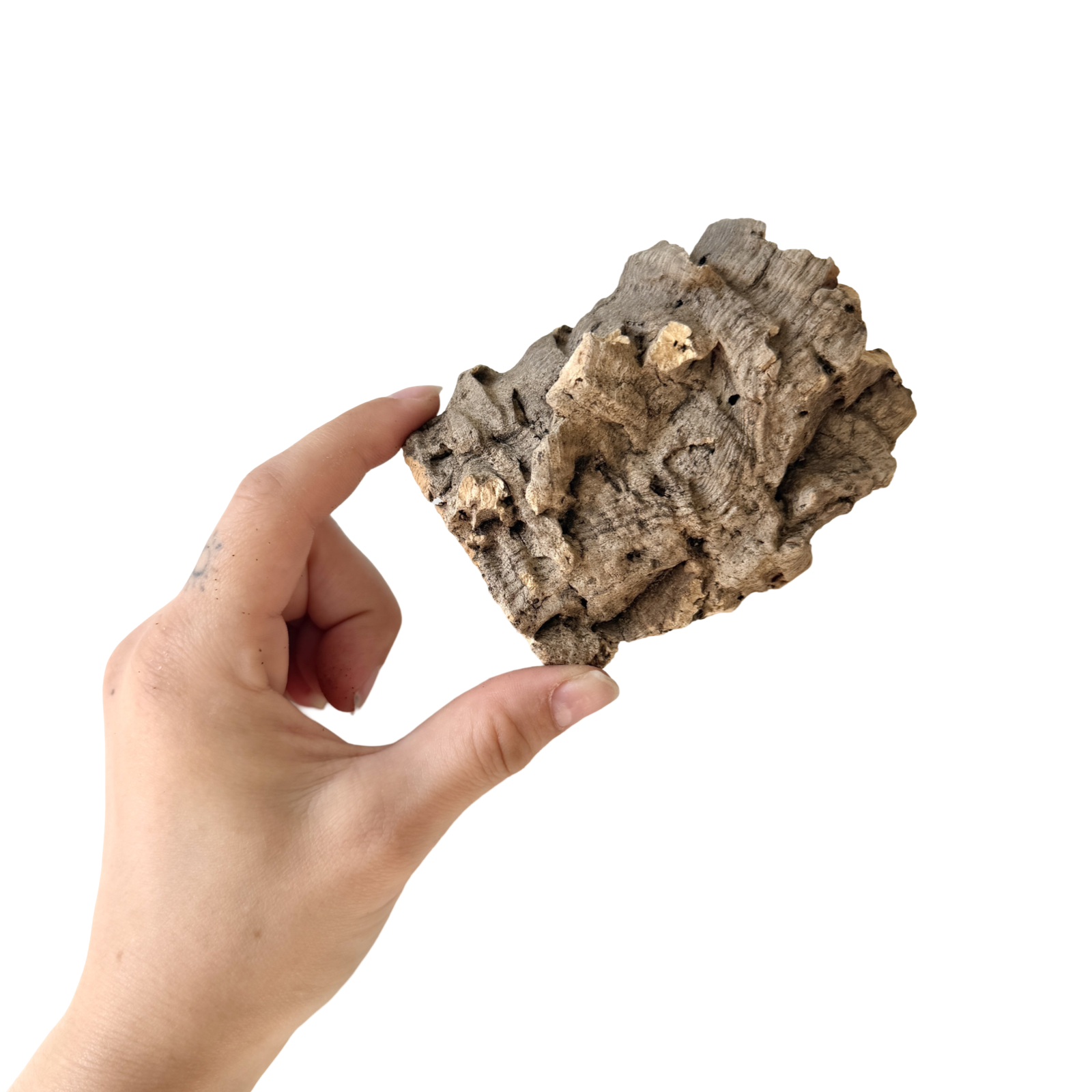 Cork Bark Flat
