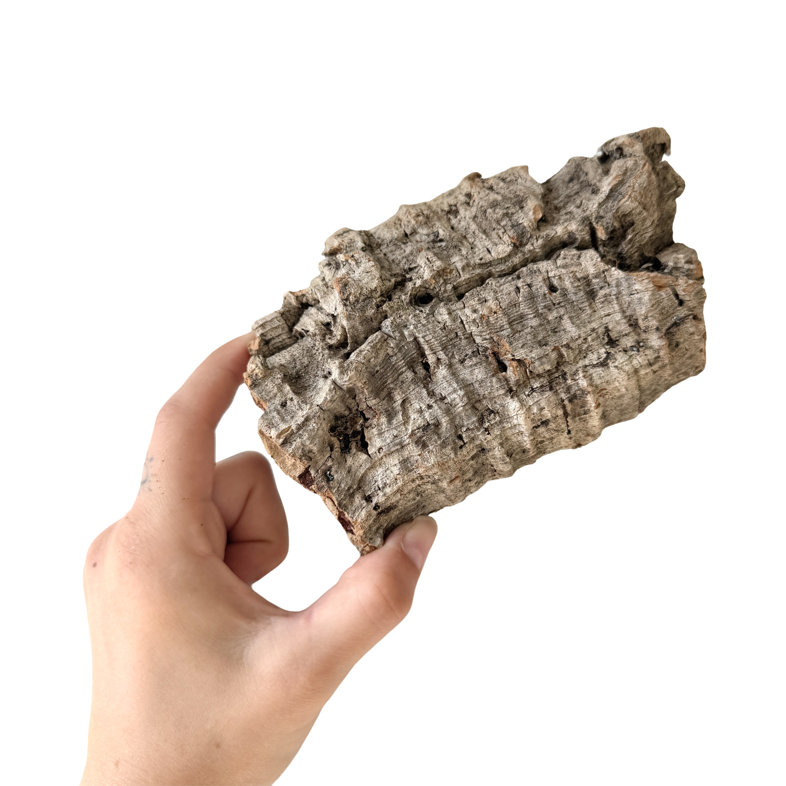 Cork Bark Flat